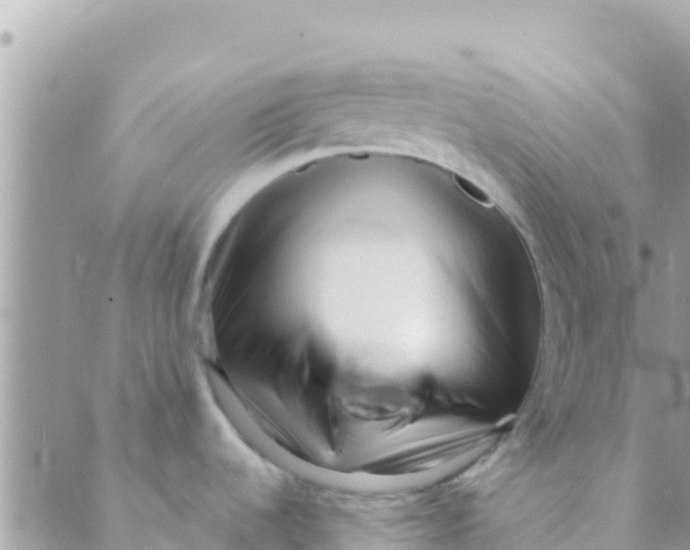 X0000089431536200707061331