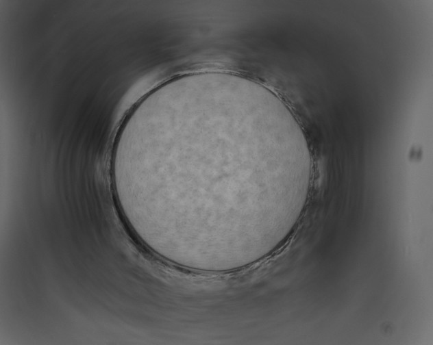X0000089430004200707131855