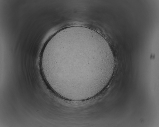 X0000089430006200707131855