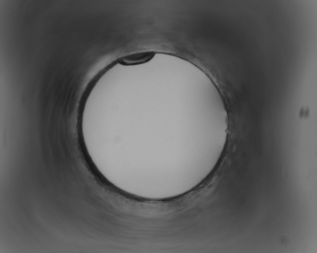 X0000089430008200707131855
