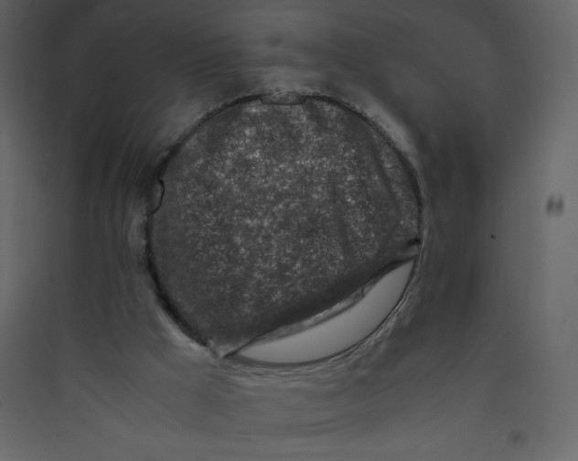 X0000089430009200707131855