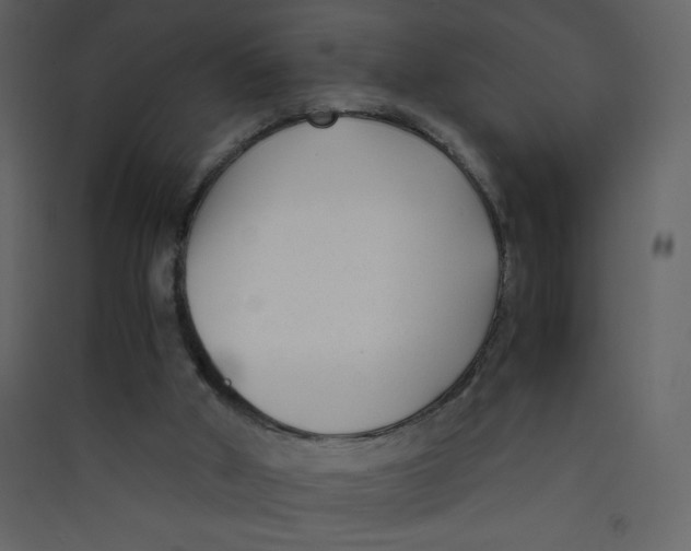 X0000089430010200707131855