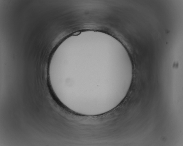 X0000089430011200707131855