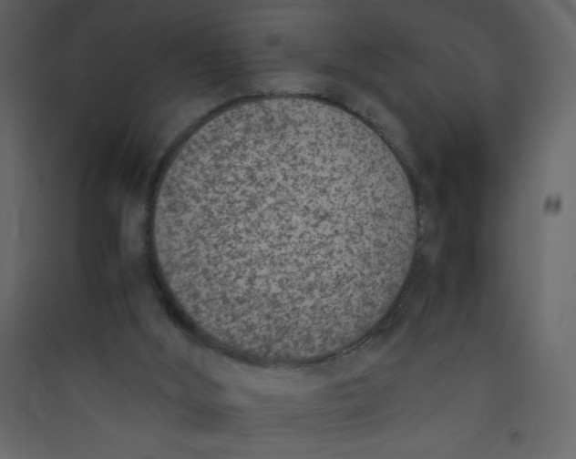 X0000089430012200707131855