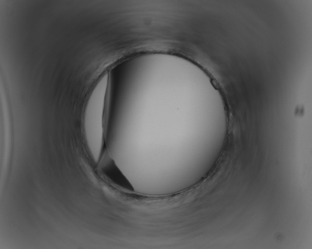 X0000089430013200707131855