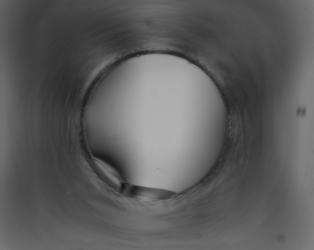 X0000089430015200707131854