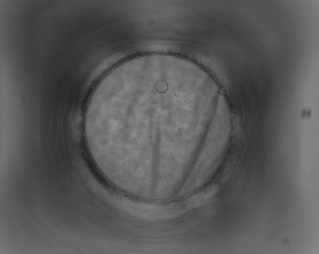 X0000089430016200707131854