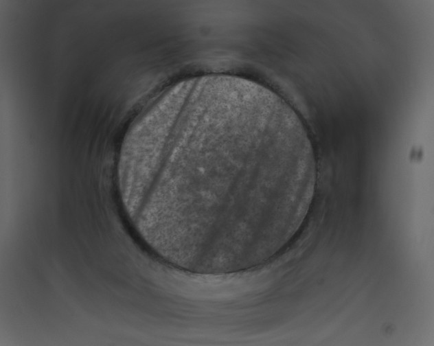 X0000089430018200707131854