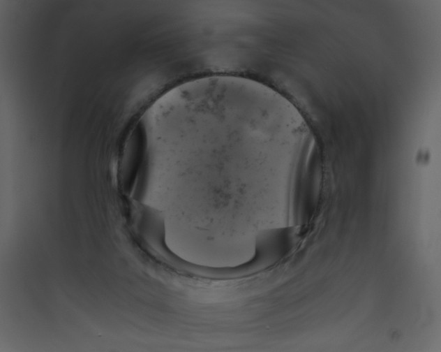 X0000089430019200707131854