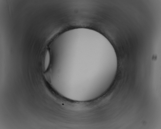 X0000089430020200707131854