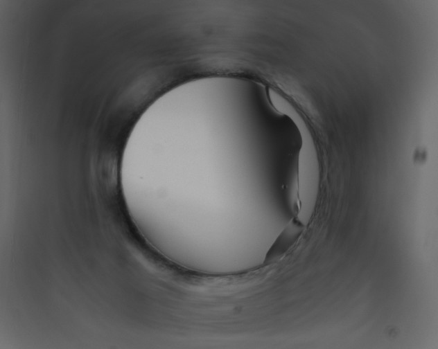 X0000089430021200707131854
