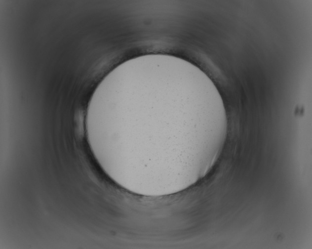 X0000089430022200707131854