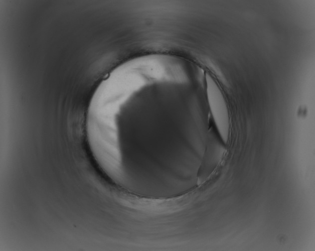 X0000089430023200707131854