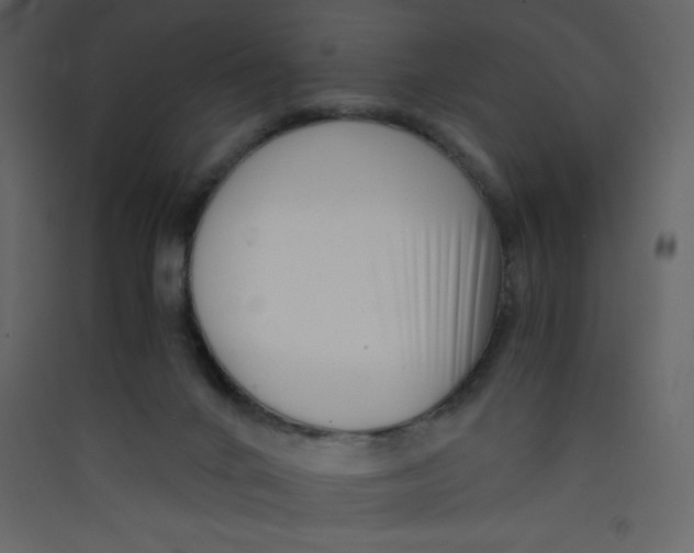 X0000089430024200707131854