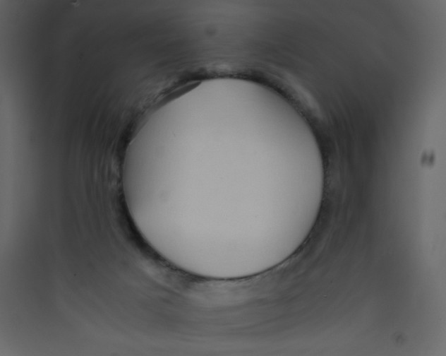 X0000089430025200707131854