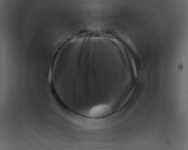X0000089430027200707131854