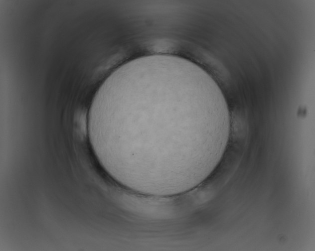 X0000089430028200707131854
