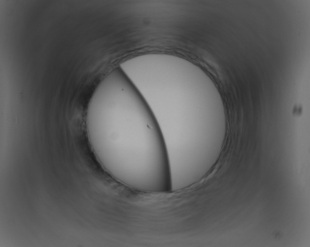 X0000089430029200707131854