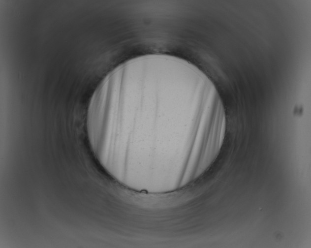 X0000089430030200707131854