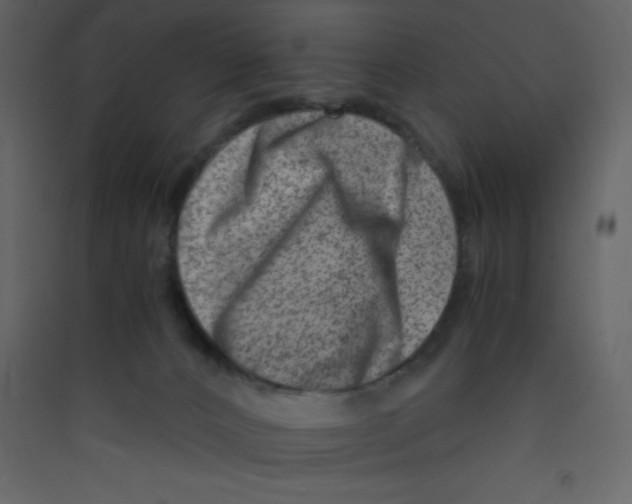 X0000089430032200707131854