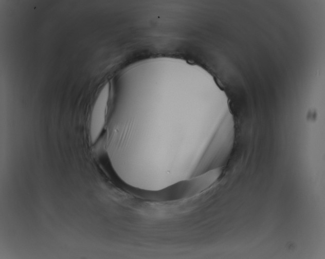X0000089430033200707131854