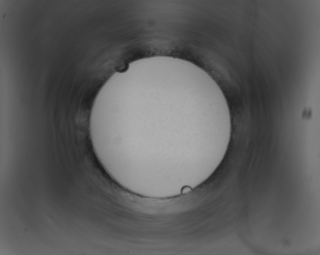 X0000089430034200707131854