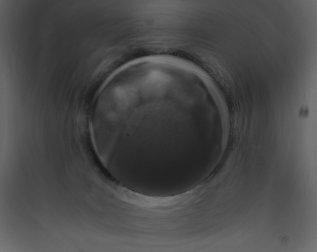 X0000089430035200707131854