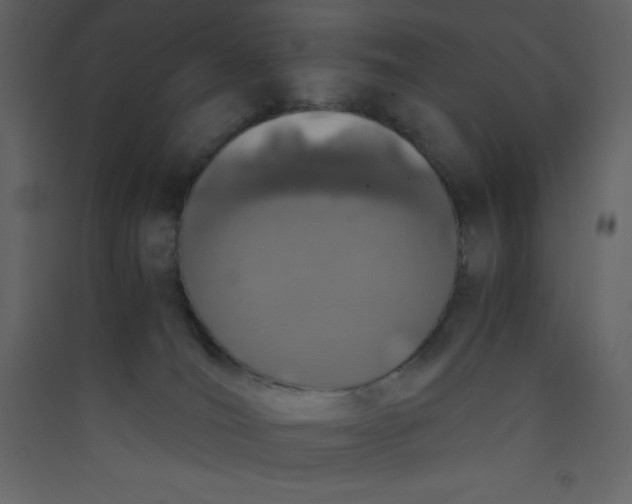 X0000089430036200707131854
