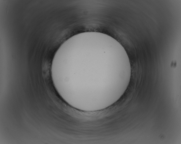 X0000089430038200707131854