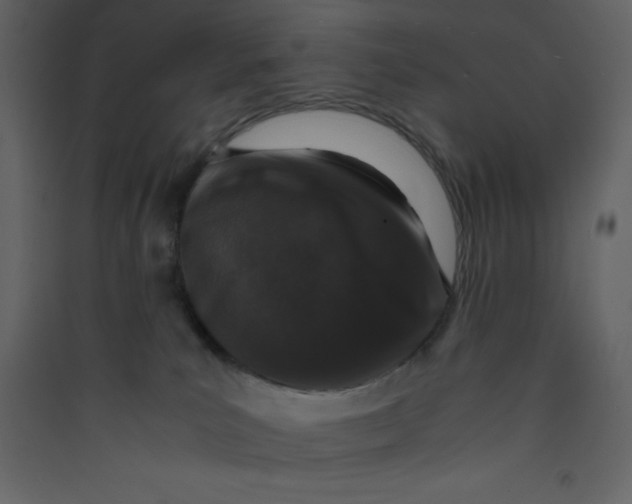 X0000089430039200707131854