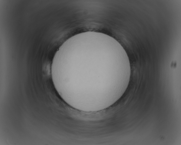 X0000089430042200707131854