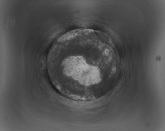 X0000089430043200707131854