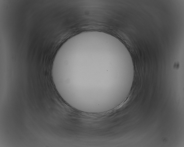 X0000089430045200707131854