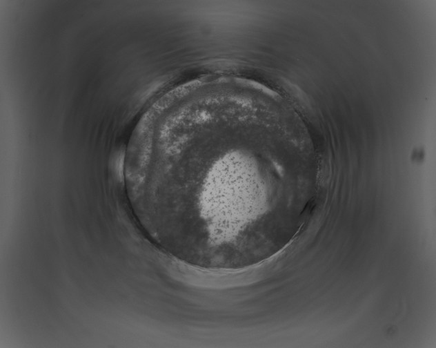 X0000089430047200707131854