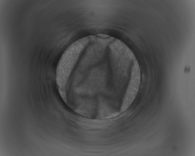 X0000089430048200707131854
