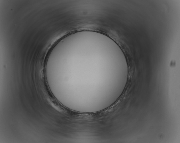 X0000089430050200707131853