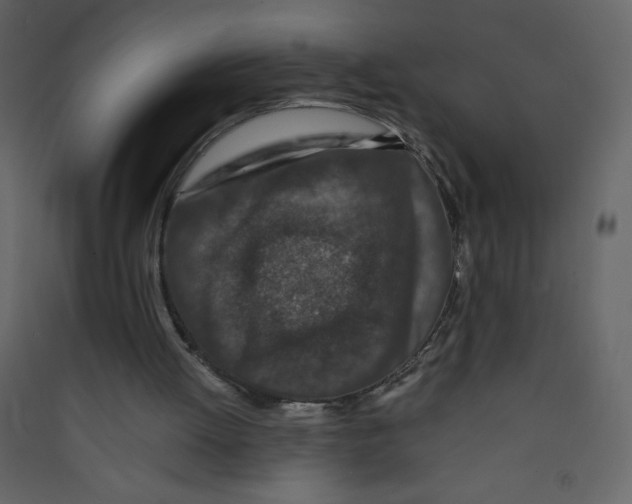 X0000089430052200707131854