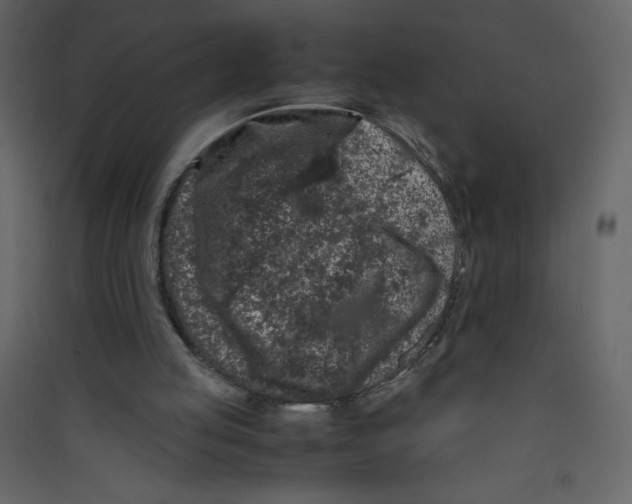 X0000089430053200707131854