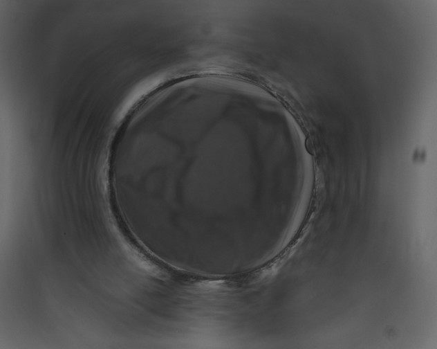 X0000089430054200707131854