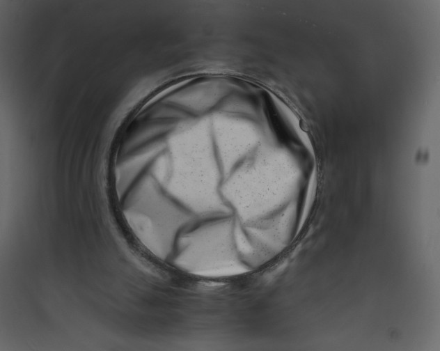 X0000089430055200707131854