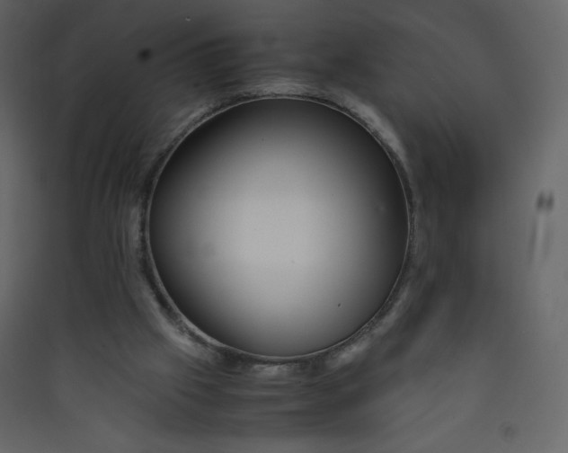 X0000089430057200707131854