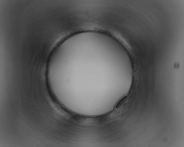 X0000089430058200707131854