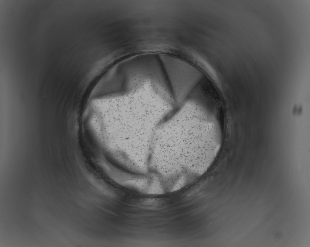X0000089430059200707131854