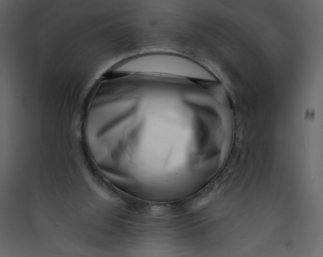 X0000089430060200707131854