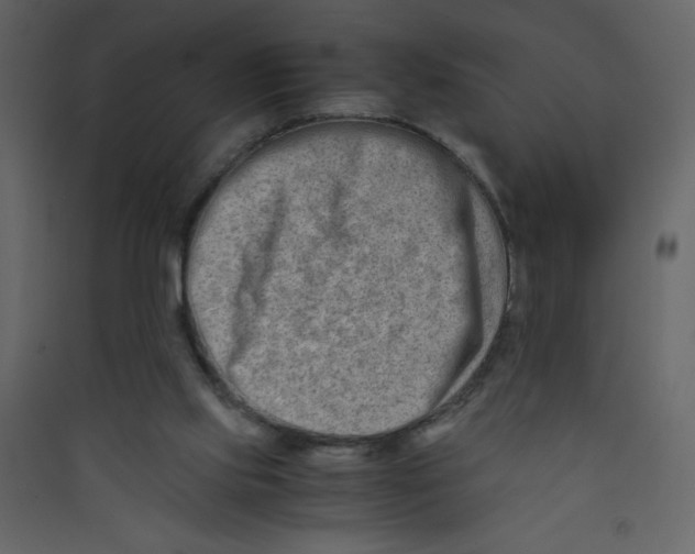 X0000089430061200707131854