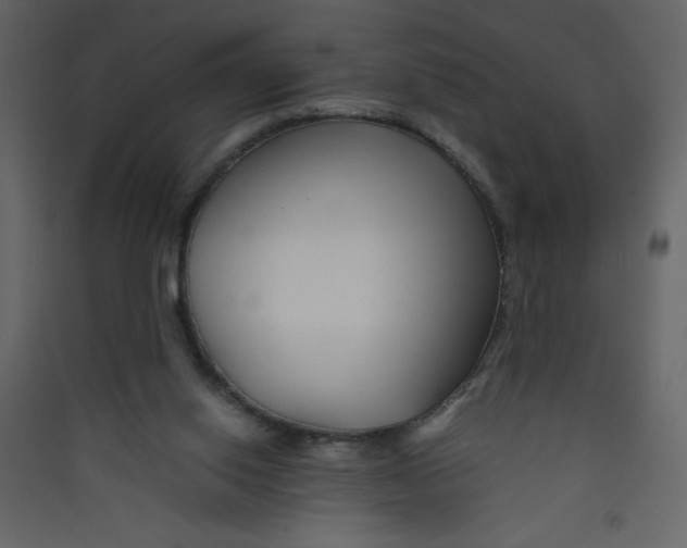 X0000089430062200707131854