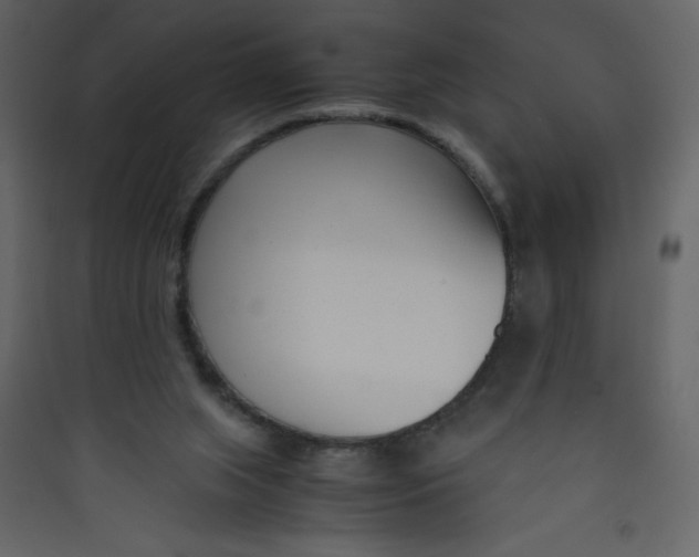 X0000089430063200707131854