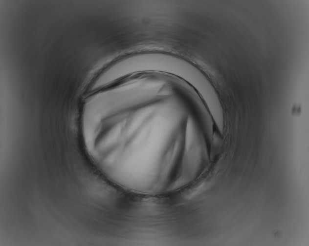 X0000089430064200707131854