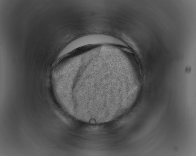 X0000089430065200707131854