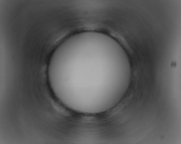 X0000089430066200707131854